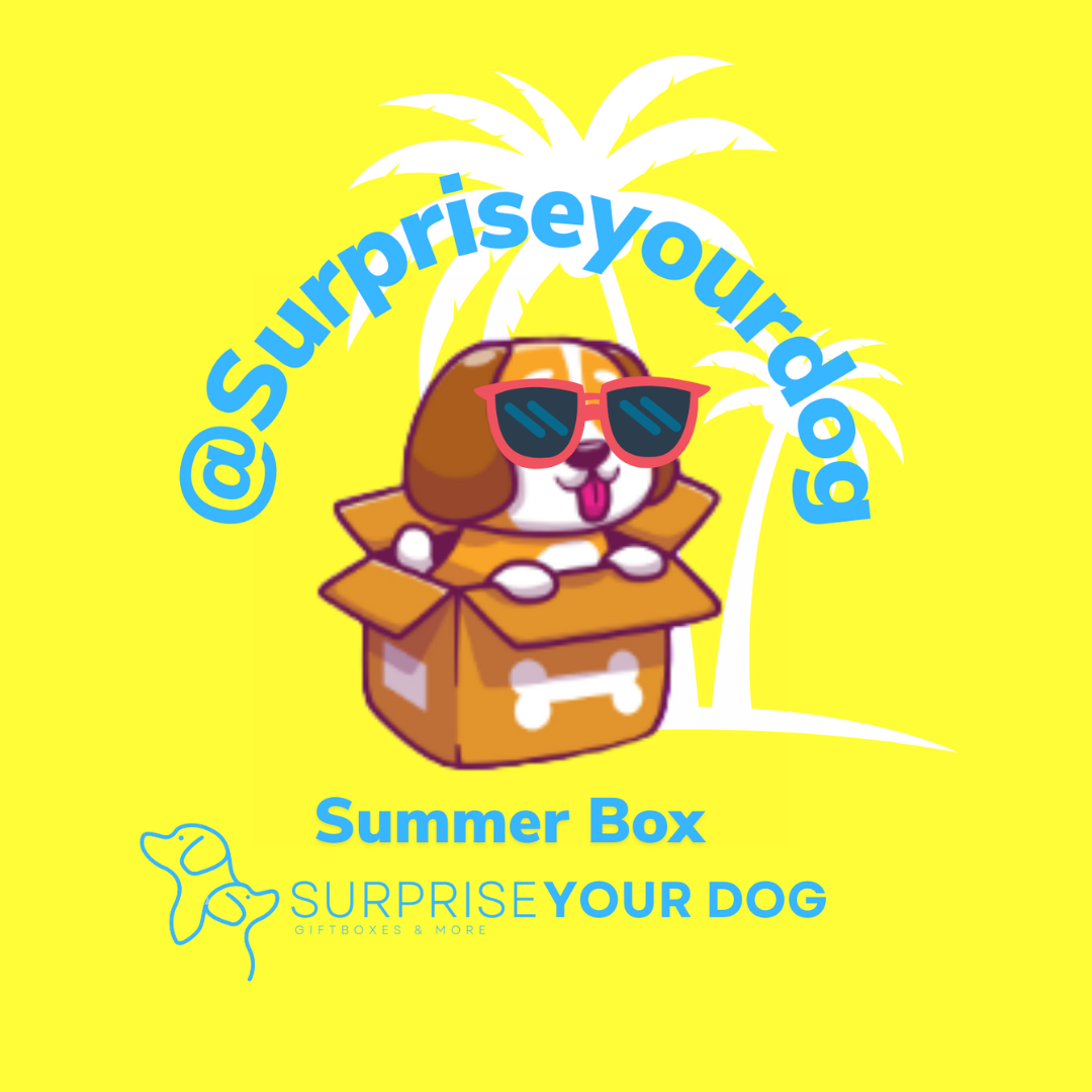 Summerbox