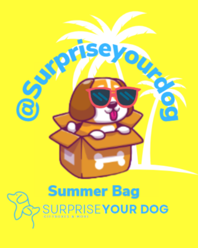 summer bag