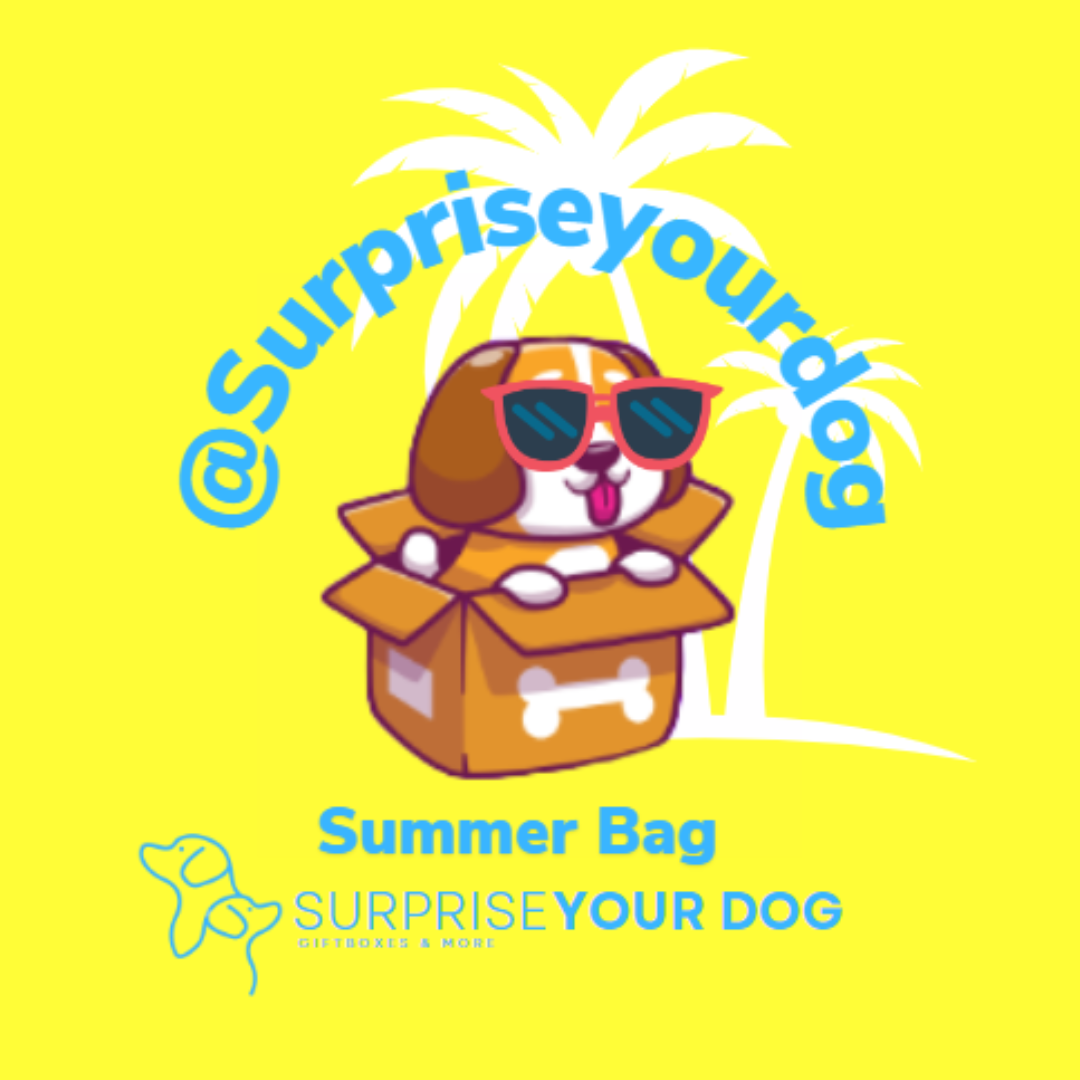 summer bag