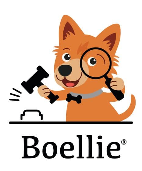 Icon Boellie